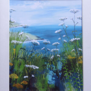 Coast Path Colours